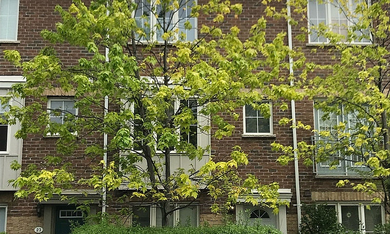 Spacious 1 Bedroom B...