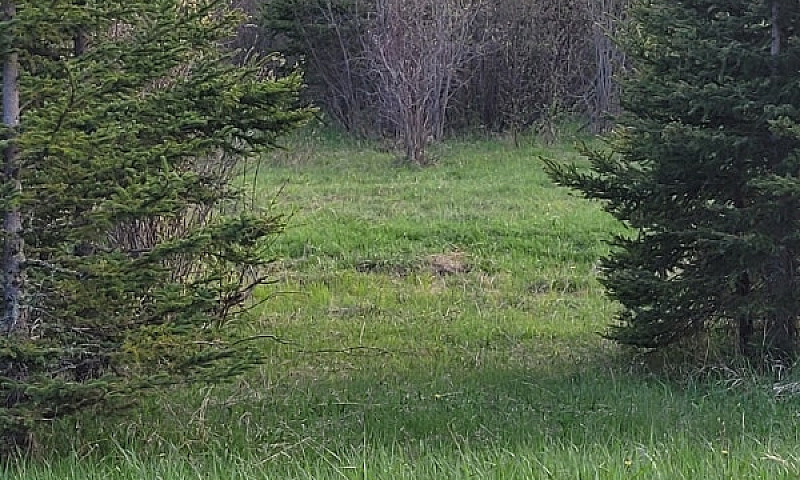 Land In Off Grid Com...