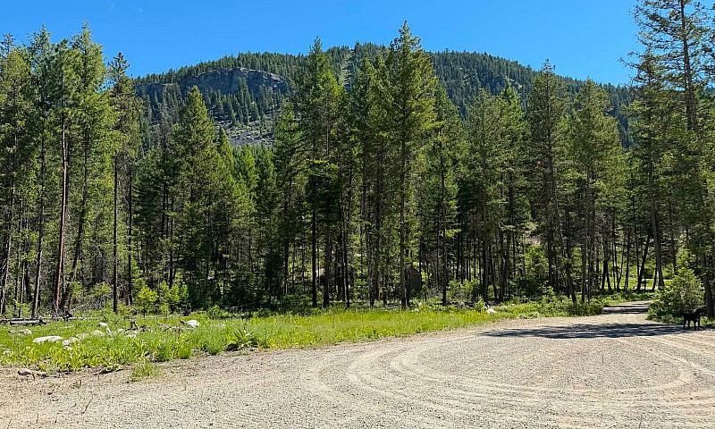 2.5 Acres Of  Land F...