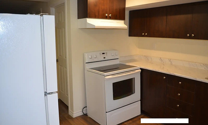 2 Bedroom Walkout Ba...