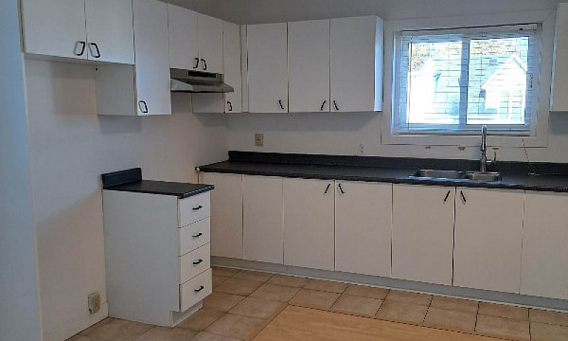 1 Bedroom Apartment ...