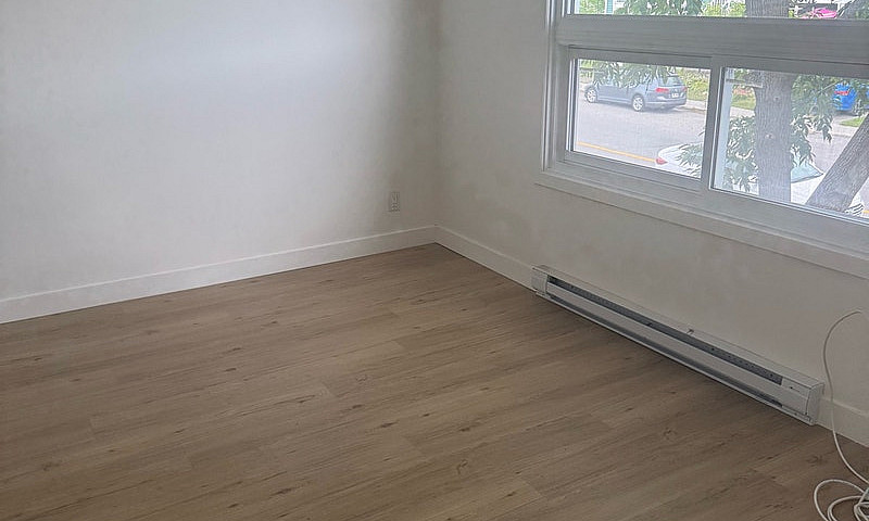 Logement 4-1/2 À Lou...