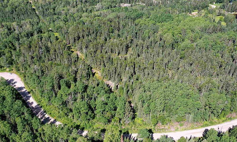 Lot 4 Grassy Lake...