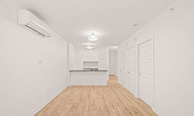 Large 1B1B Condo In ...
