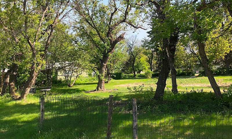 Beautiful Double Lot...