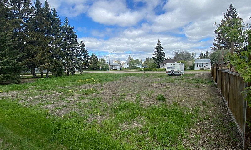 Double Lot In Spring...