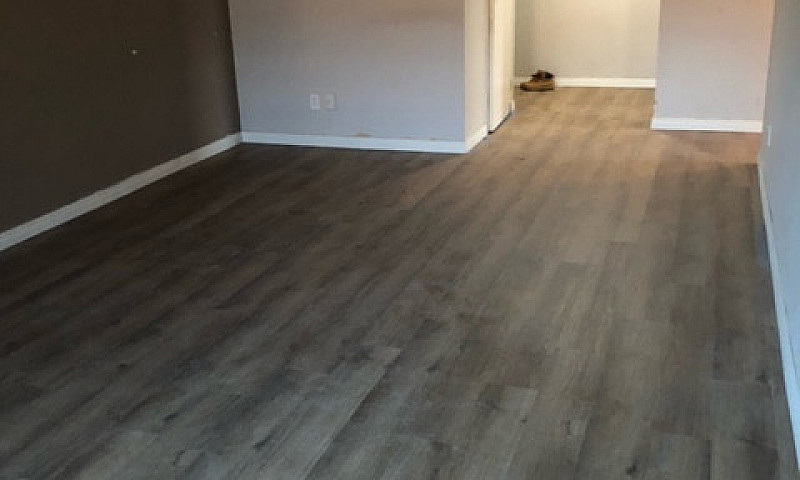 Recently Renovated C...