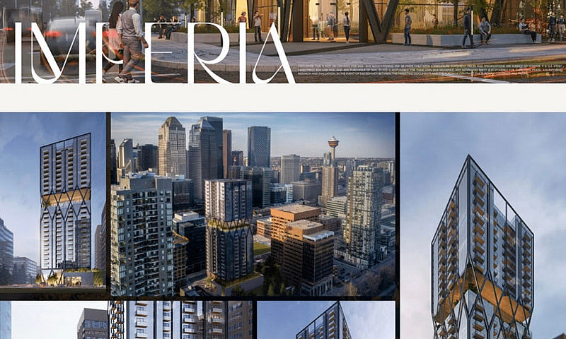 Assignment Sale – Im...