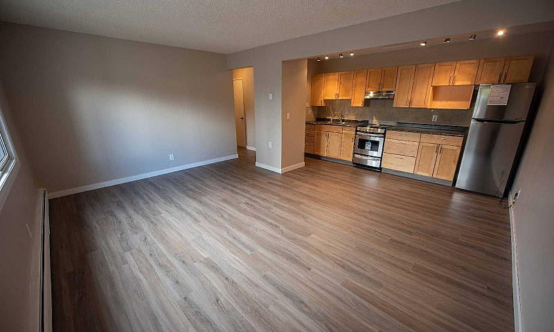 One Bedroom Downtown...
