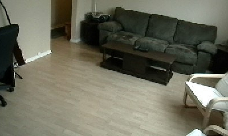 Free Huge Light Reno...