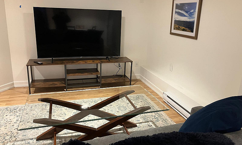 Furnished One Bedroo...