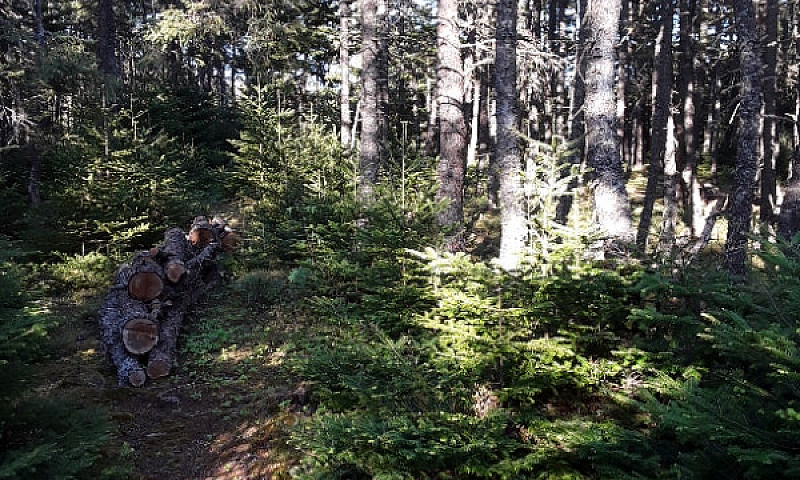 2 Acres Off Red Rock...