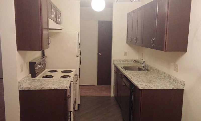 1 Bedroom Apartment ...
