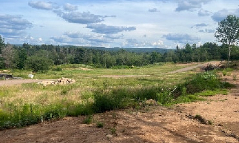 10.5 Acres...