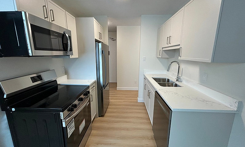 Newly Renovated 1 Be...