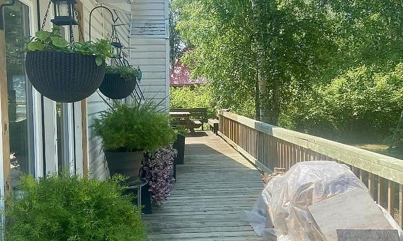 4 Season Cottage: Bu...
