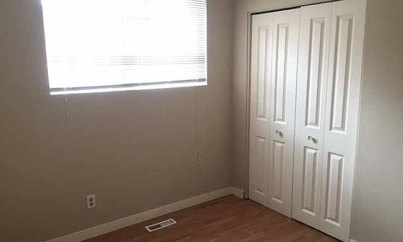 Super Large Renovate...