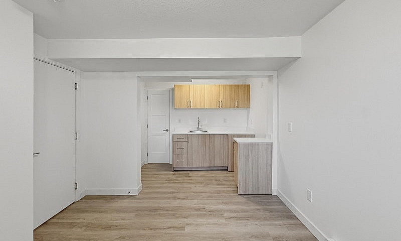Bright & New 1 Bed +...