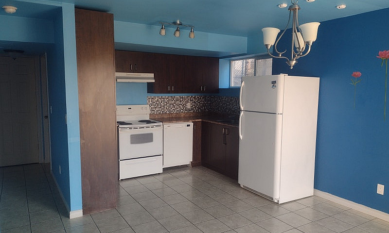 Walkout Basement In ...