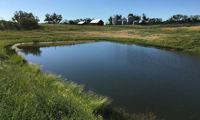 20Acre Hobby Farm! P...