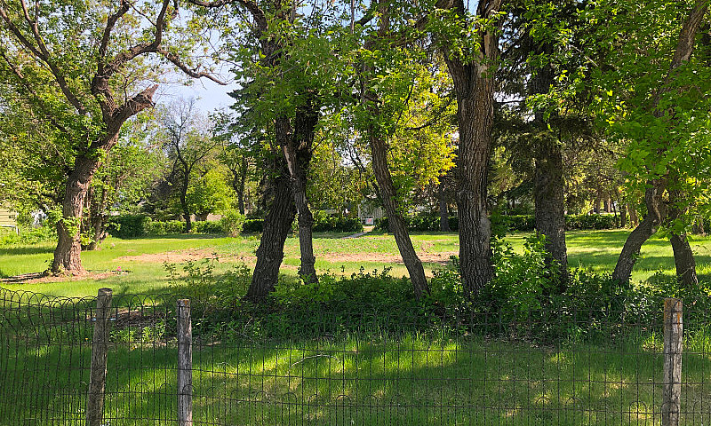 Beautiful Double Lot...
