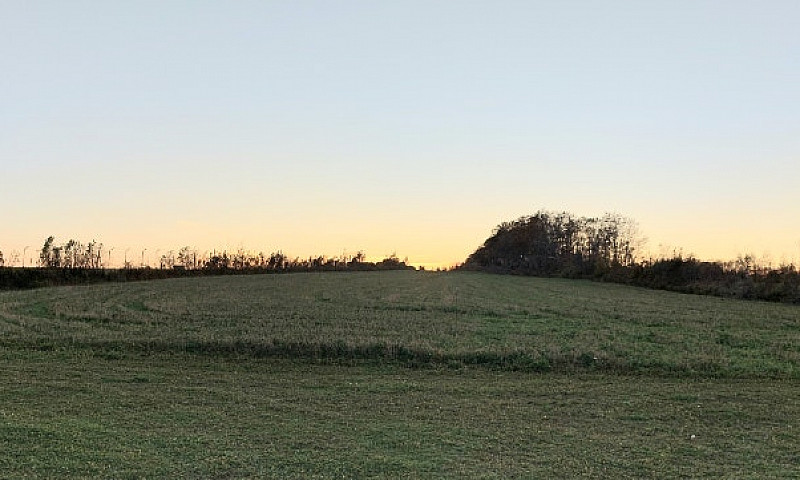 Acreage In York...