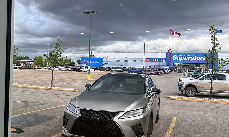 2021 Lexus Rx350 F-S...