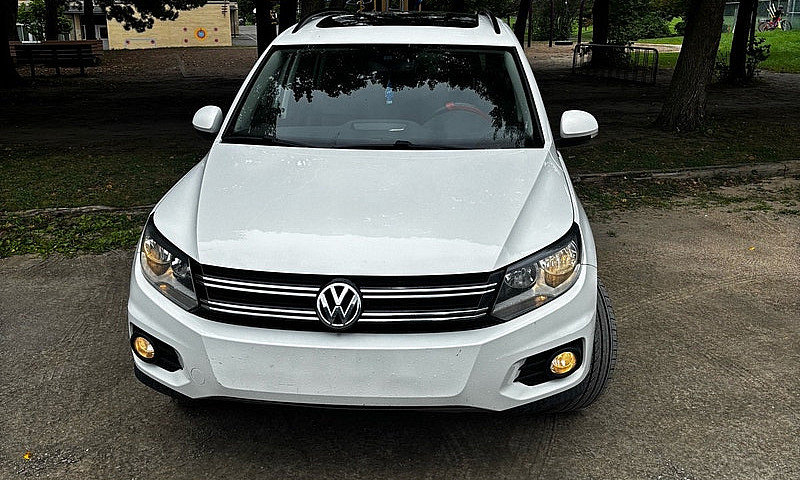 Vw Tiguan 2017 Wolfs...