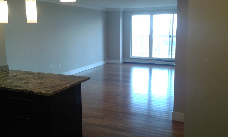 1 Bedroom In Luxury ...