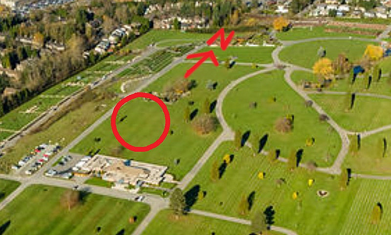 Burial Site In Fores...
