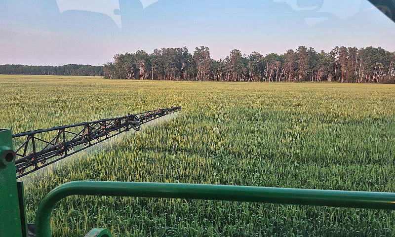 Looking For Land To ...