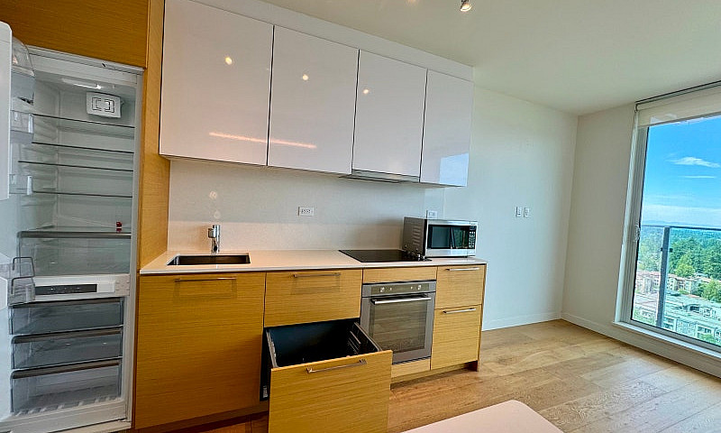 Furnished Surrey Cen...