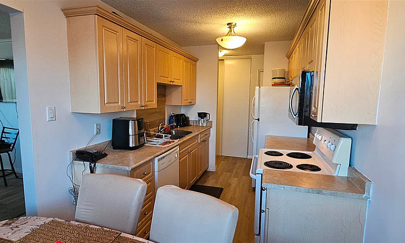 #18, 3809 Luther Pl,...