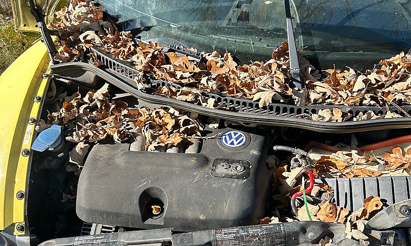 2002 Volkswagen Beet...