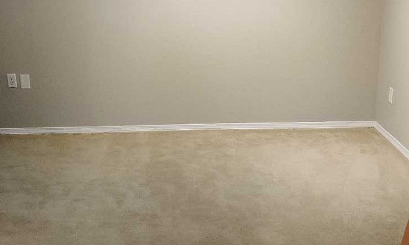 Basement Suite/Studi...