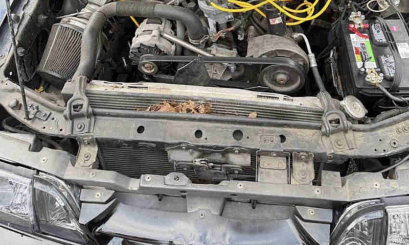 91’ 4 Cylinder Musta...