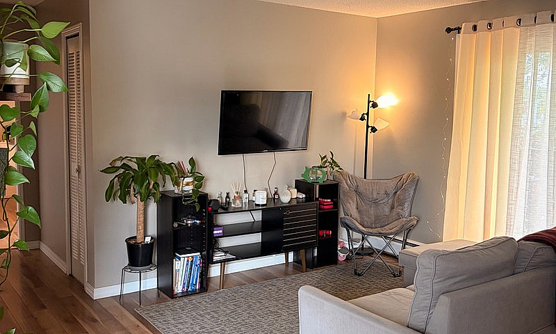  Fully Furnished 1-B...