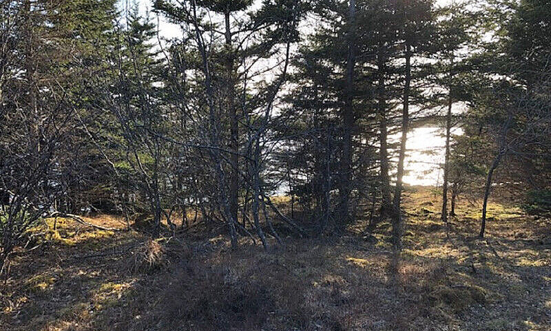 Nova Scotia Waterfro...