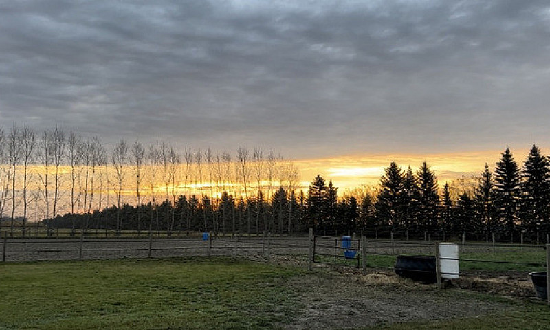 14.63 Acres For Sale...