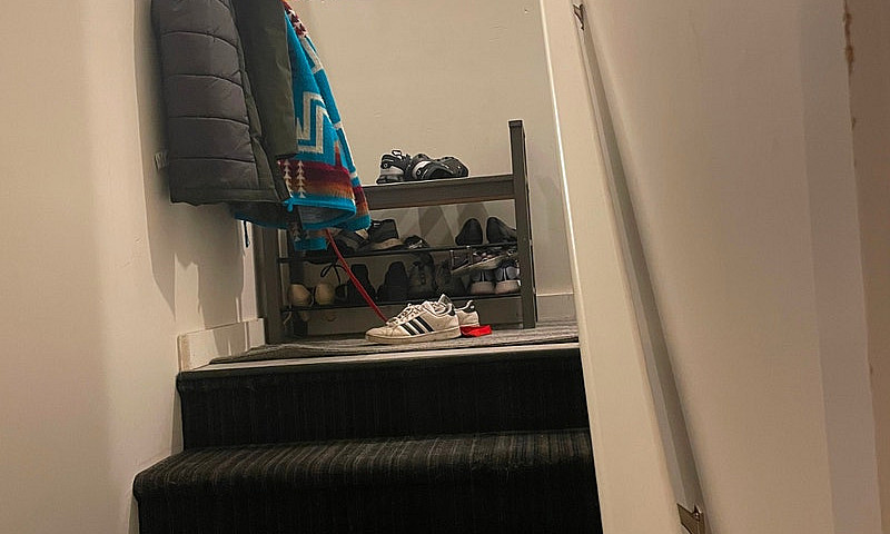 Pet-Friendly Rental ...