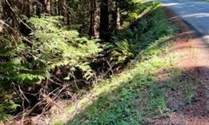 1.34 Acre Building L...