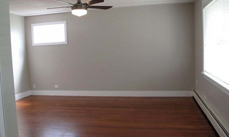 3 Bedroom In Prime D...
