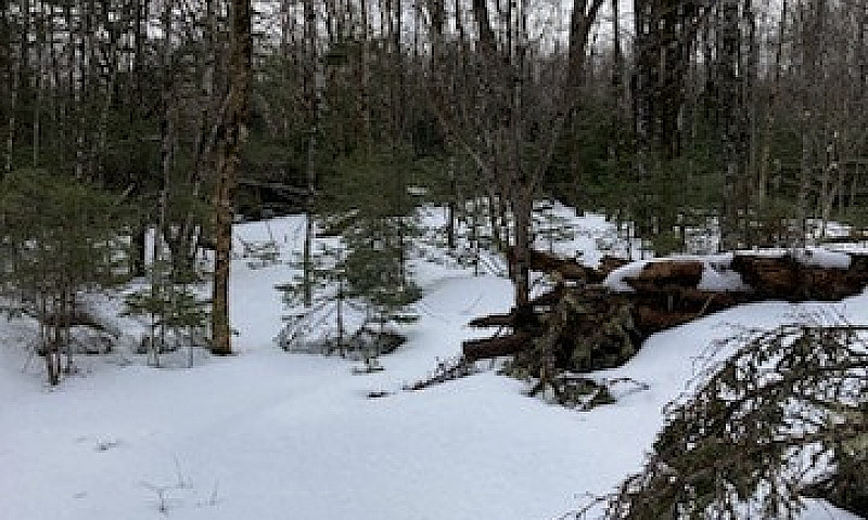 2.7 Acres For Sale K...