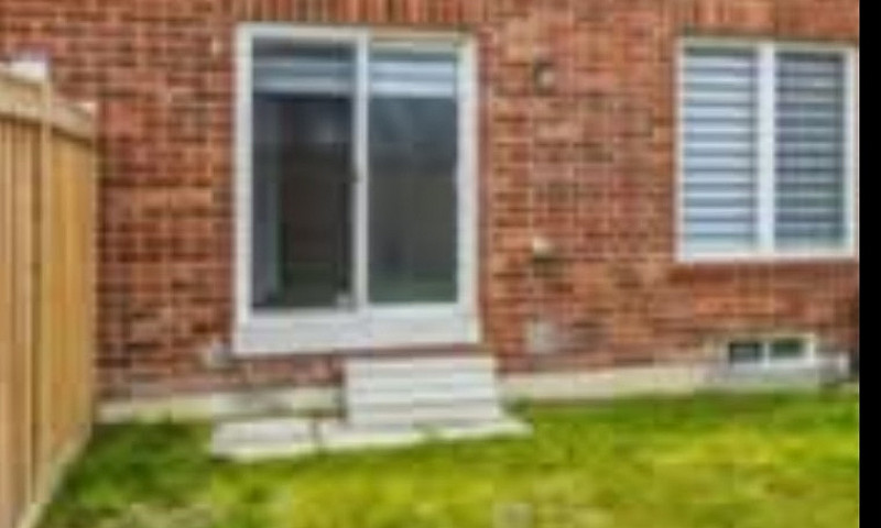 1 Walk-In Basement A...