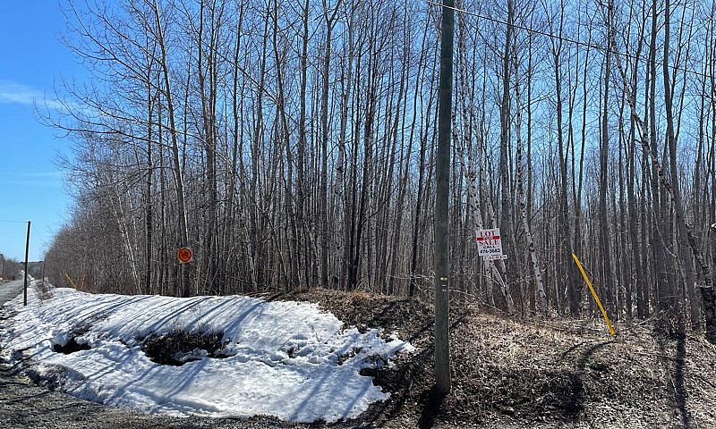 2 & 3 Acre Lots In R...
