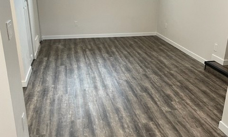2 Bedroom Lower Suit...