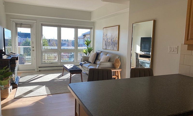 Executive 2-Bed Furn...