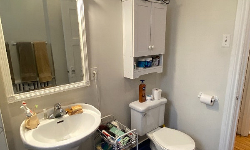Renovated 4 1/2 In B...
