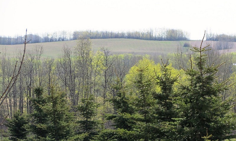 Bare Acreage Lot For...