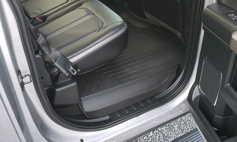 2020 F150 Platinum 4...